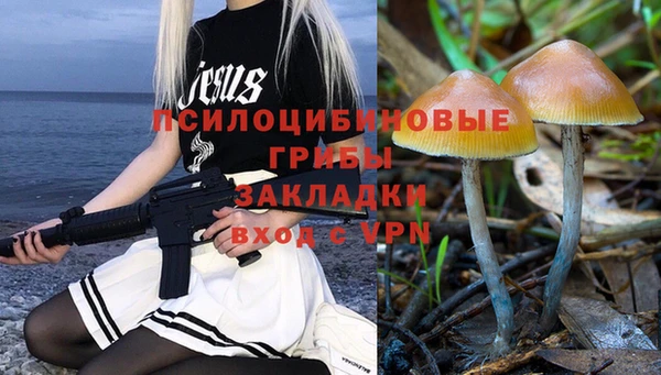 гашик Верея