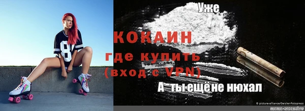гашик Верея
